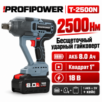 Гайковерт аккумуляторный ProfiPower T-2500N бесщеточный ударный (Li-ion-1шт, 8.0Ач, 2500Нм, З/У, в к Гайковерт аккумуляторный ProfiPower T-2500N бесщеточный ударный (Li-ion-1шт, 8.0Ач, 2500Нм, З/У, в к